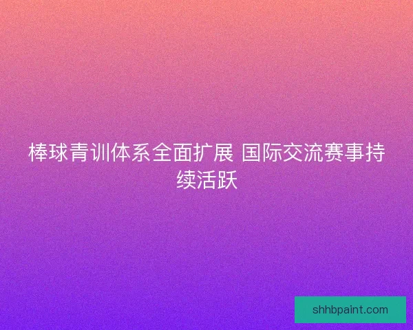 棒球青训体系全面扩展 国际交流赛事持续活跃